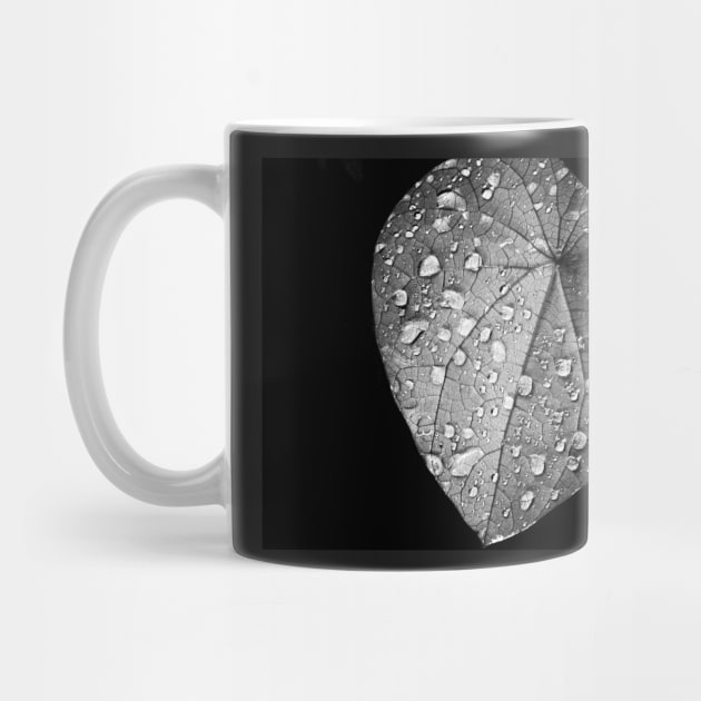 Raindrops on Leaf by Eliza-Grace